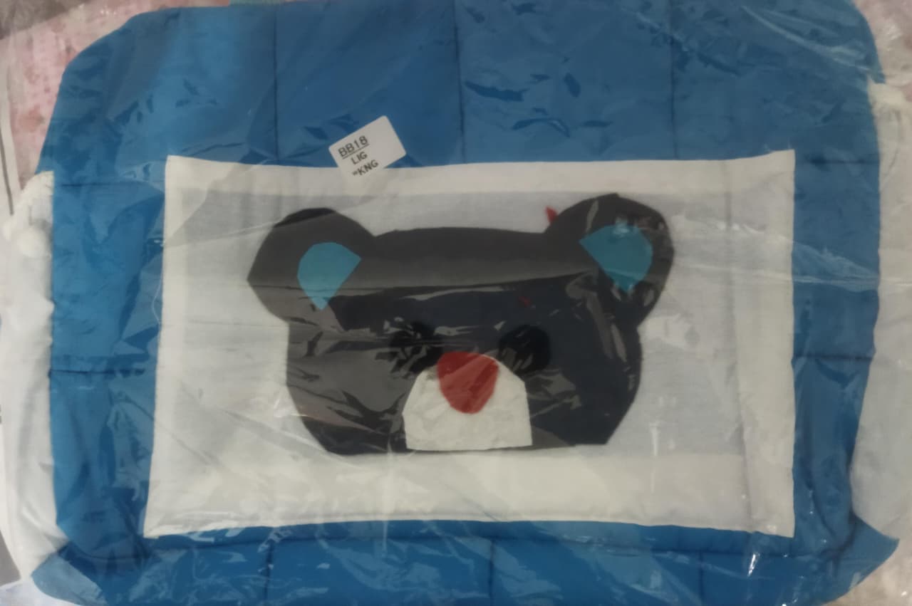 bear baby bag
