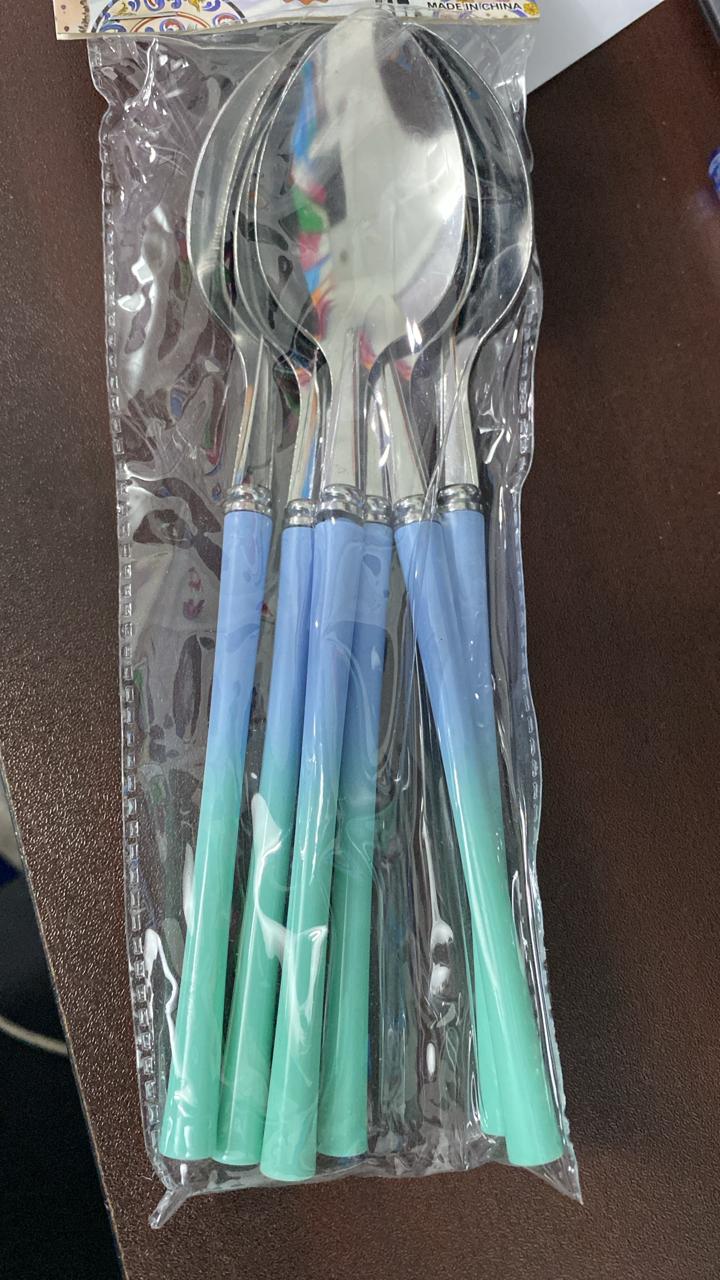 Spoon Silver Handle 6Pcs